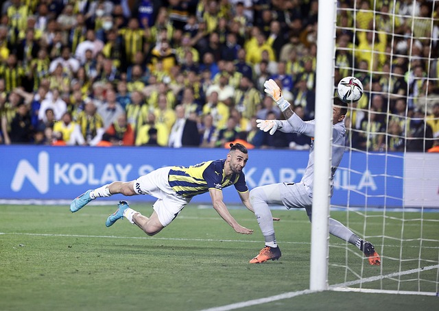 在国际足球 在国际足球