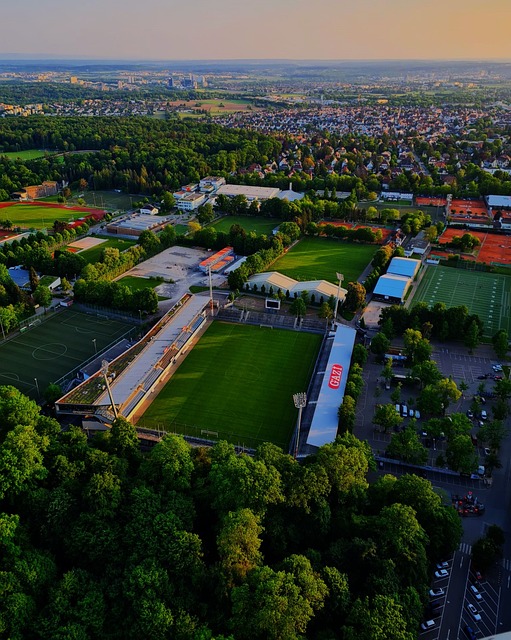 特联赛的经 特联赛的经